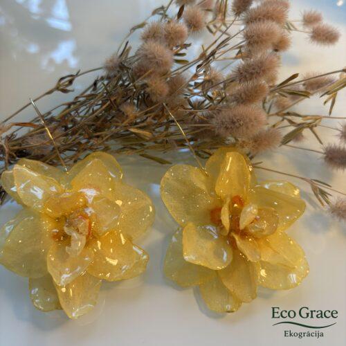 Narcišu auskari - "Tahiti"