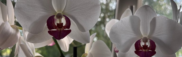 Ziedu epoksīda rotas