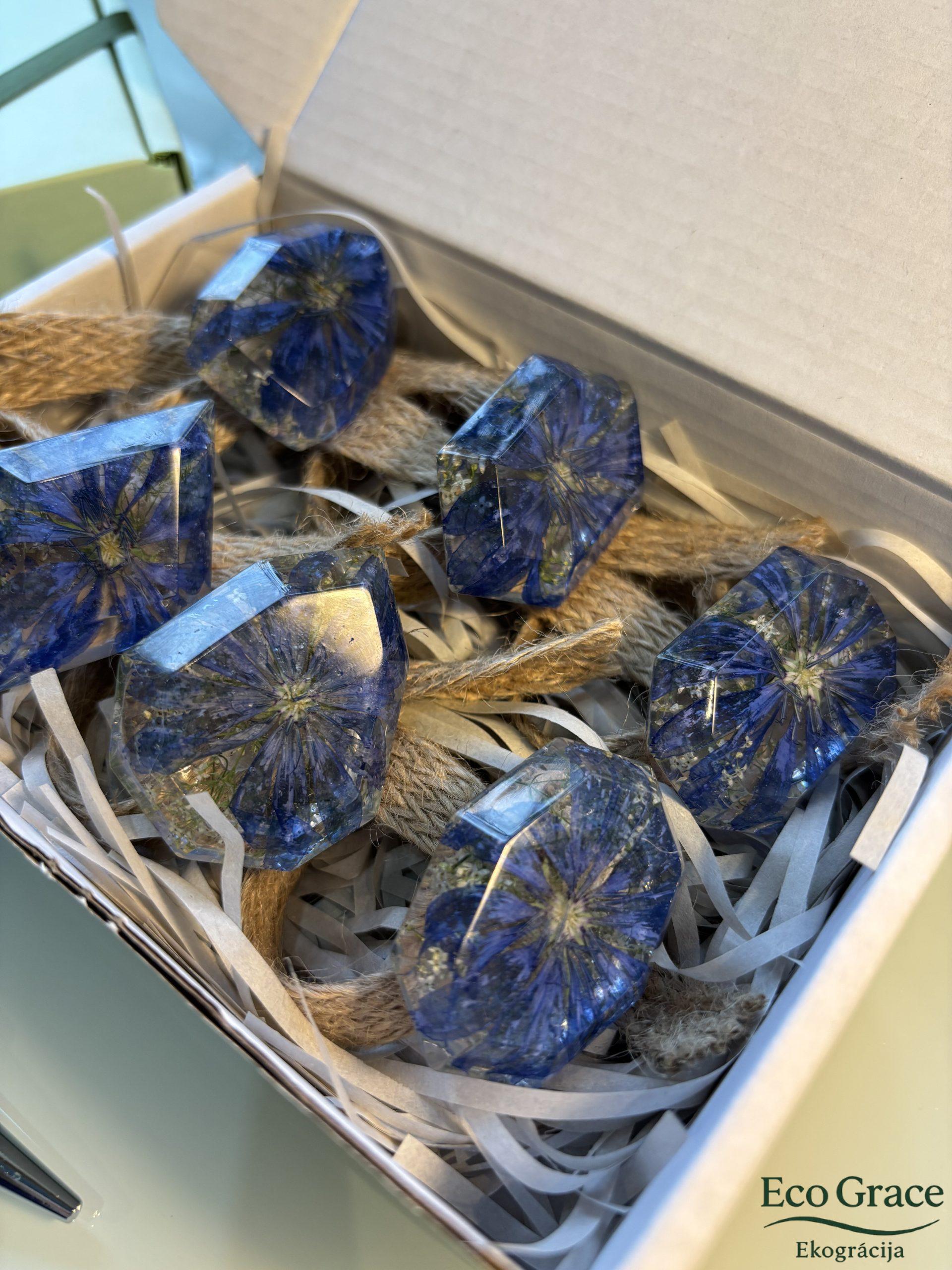 Salvešu gredzeni "Cigoriņi"