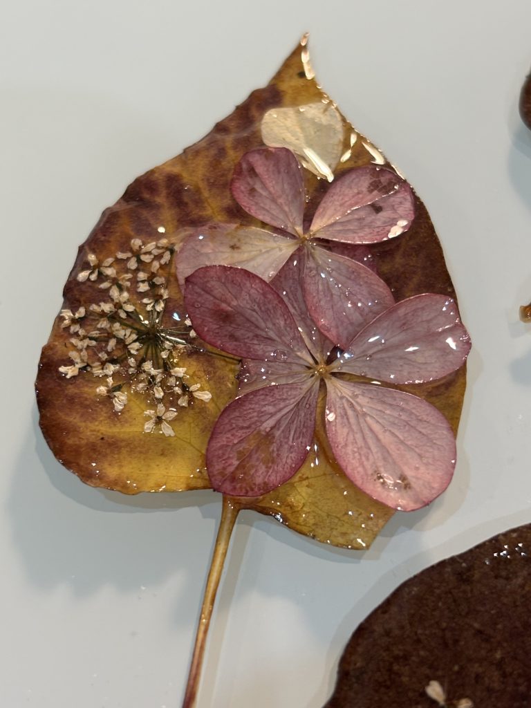 Ziedu vākšana un kaltēšana