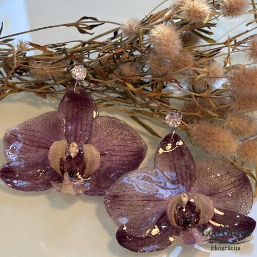 Auskari- "Orhideja- Kristāla"