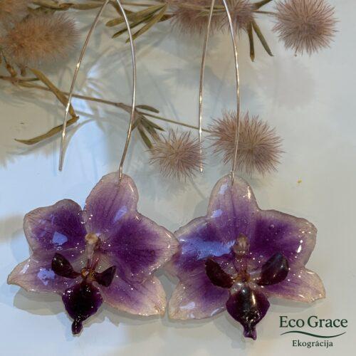 Auskari - "Orhideja - Violeta" Auskari - "Orhideja - Violeta"