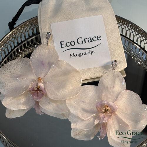 Akcentauskari- "Tropu elegance"