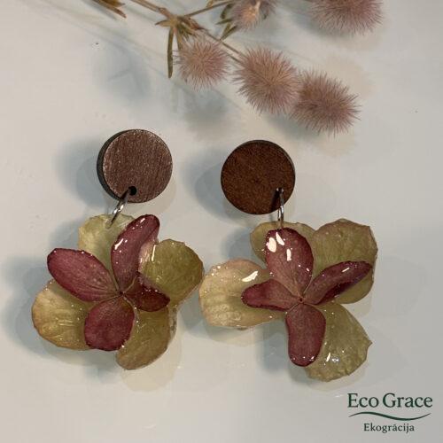 Auskari - "Hortenzija - Leone" Auskari - "Hortenzija - Leone"