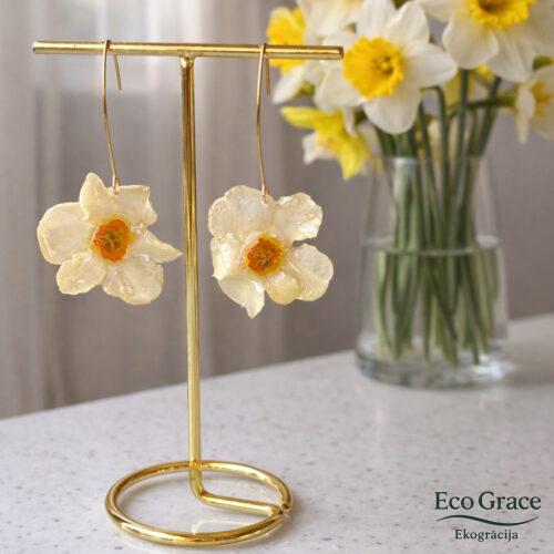 Narcišu auskari "Mazkronīte"