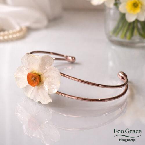 Aproce "Mazkronīte"