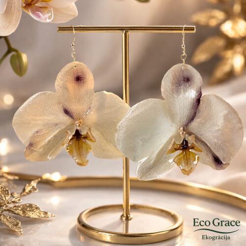 ELVC7695 Orhideju auskari "Pērle"