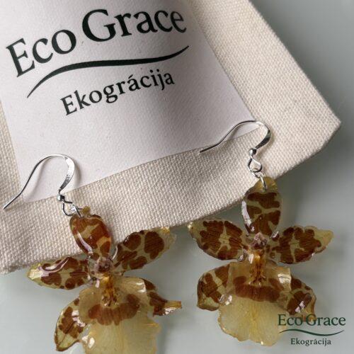 Orhideju auskari "Dancing lady"