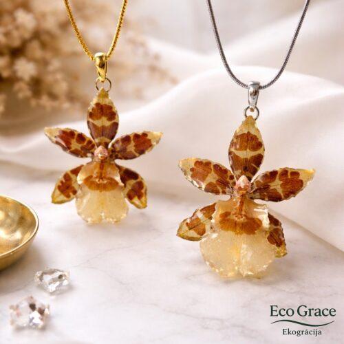 WhatsApp Image 2026-02-13 at 20.22.25 (13) Orhidejas kulons "Dancing lady"