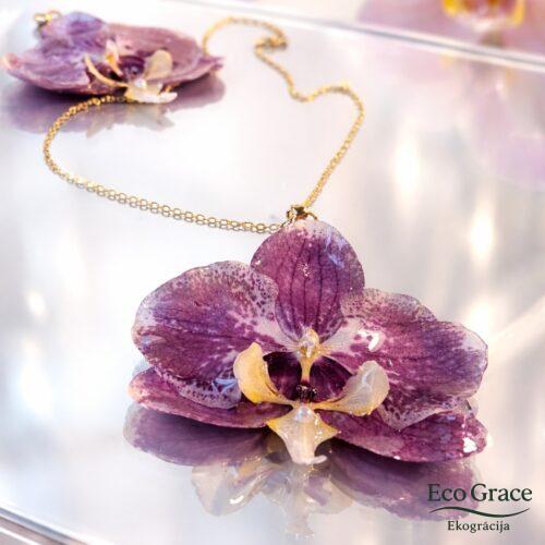 WhatsApp Image 2026-02-13 at 20.22.25 (20) Kulons "Lillā pērle"