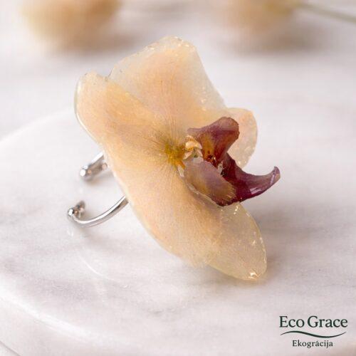 WhatsApp Image 2026-02-13 at 20.22.25 (26) Akcentgredzens "Svētkos"