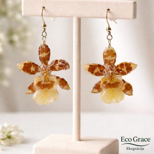 WhatsApp Image 2026-02-13 at 20.22.25 (27) Orhideju auskari "Dancing lady"