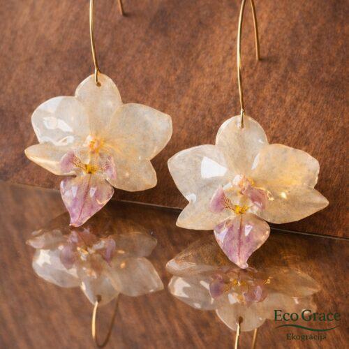 Auskari "Orhideja- Gaišā"