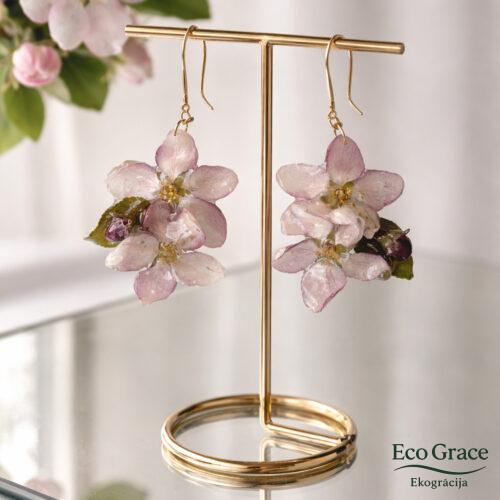 abelz Auskari "'Ābeļziedi"