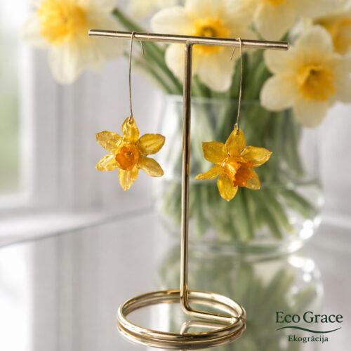 Auskari "Narcišu rīts"