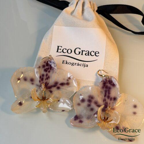 IMG_0757 Auskari- "Orhideja-Raibā"