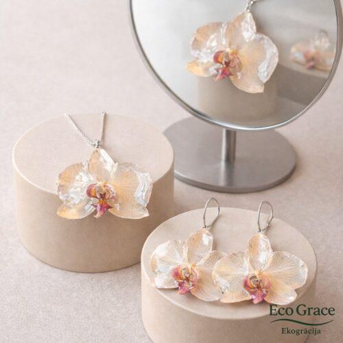 Rotu komplekts "Orhideja"