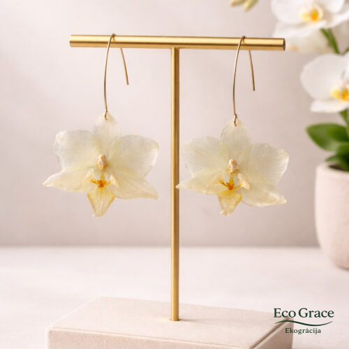 Orhideju auskari "Baltā"